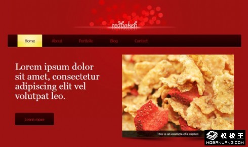 红色信息展示网页模板